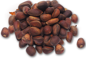 Pine-nuts-from-Siberia