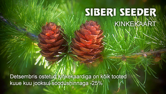 Siberi Seeder kinkekaart